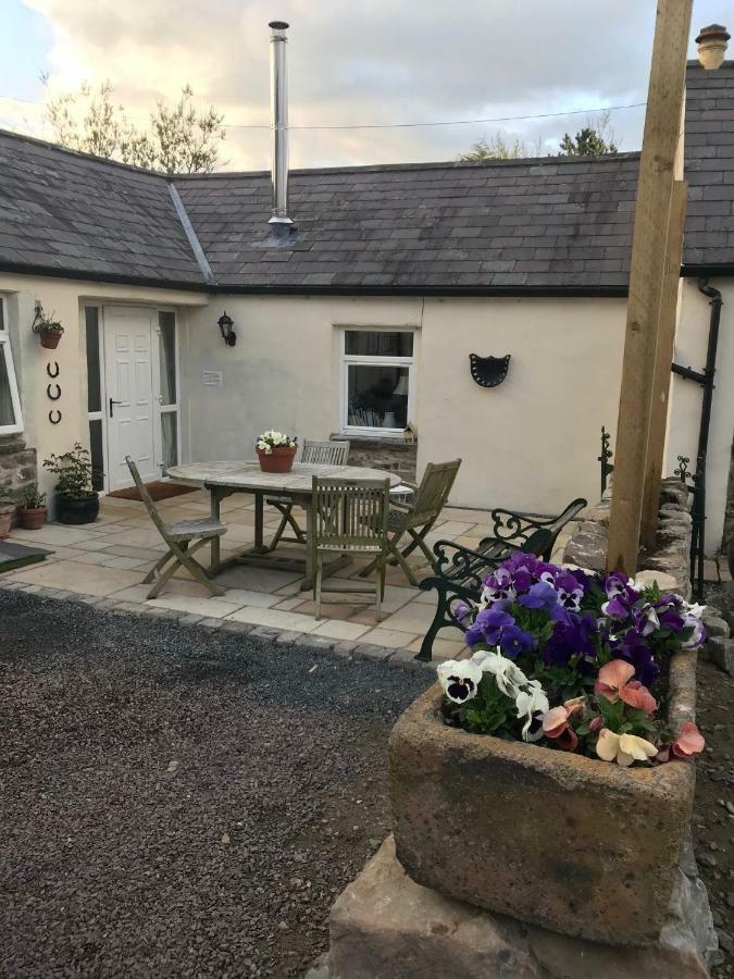 Tracey'S Farmhouse Cottage Belfast Zewnętrze zdjęcie